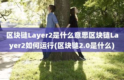 区块链Layer2是什么意思区块链Layer2如何运行(区块链2.0是什么)