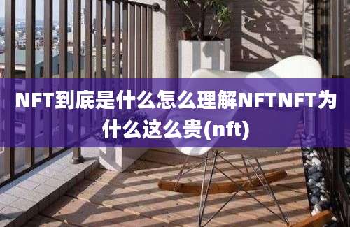 NFT到底是什么怎么理解NFTNFT为什么这么贵(nft)