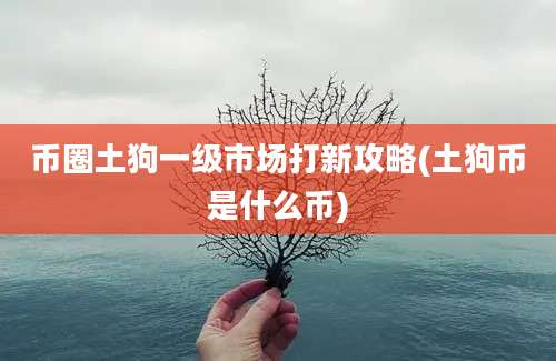 币圈土狗一级市场打新攻略(土狗币是什么币)