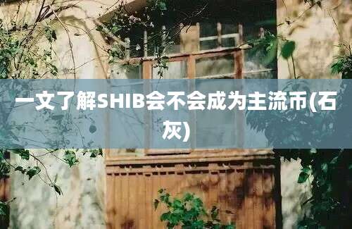 一文了解SHIB会不会成为主流币(石灰)