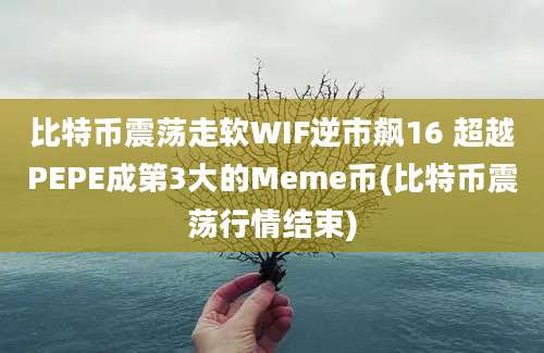 比特币震荡走软WIF逆市飙16 超越PEPE成第3大的Meme币(比特币震荡行情结束)