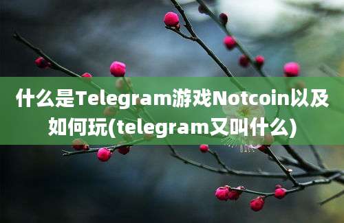 什么是Telegram游戏Notcoin以及如何玩(telegram又叫什么)