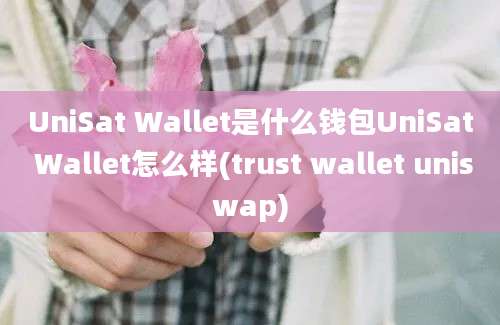 UniSat Wallet是什么钱包UniSat Wallet怎么样(trust wallet uniswap)