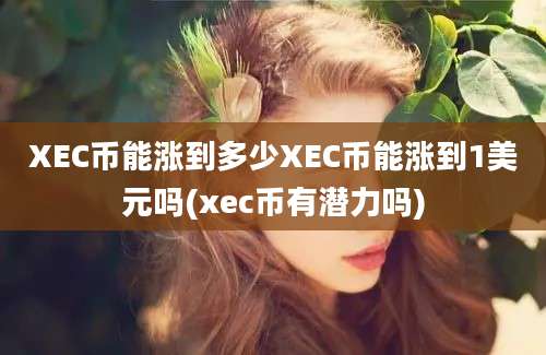 XEC币能涨到多少XEC币能涨到1美元吗(xec币有潜力吗)