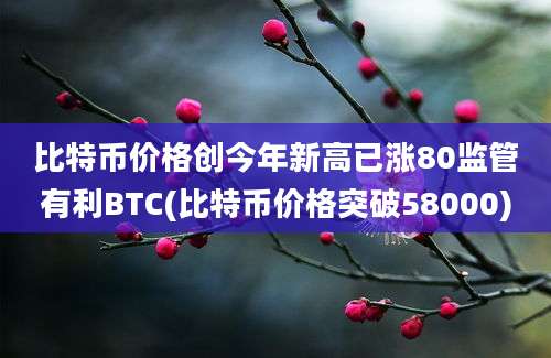 比特币价格创今年新高已涨80监管有利BTC(比特币价格突破58000)