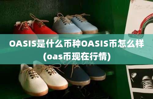 OASIS是什么币种OASIS币怎么样(oas币现在行情)