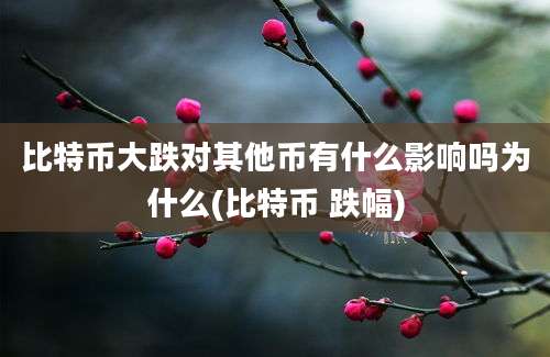 比特币大跌对其他币有什么影响吗为什么(比特币 跌幅)