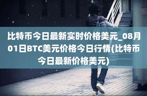 比特币今日最新实时价格美元_08月01日BTC美元价格今日行情(比特币今日最新价格美元)