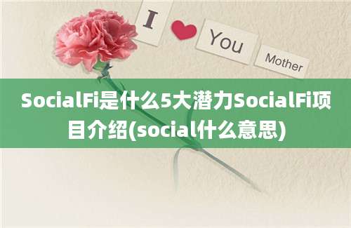 SocialFi是什么5大潜力SocialFi项目介绍(social什么意思)