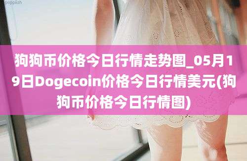 狗狗币价格今日行情走势图_05月19日Dogecoin价格今日行情美元(狗狗币价格今日行情图)