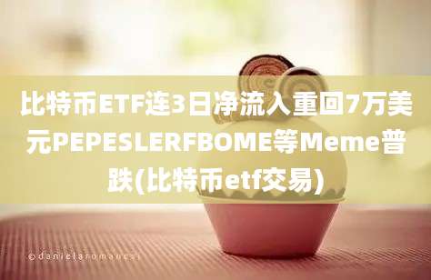 比特币ETF连3日净流入重回7万美元PEPESLERFBOME等Meme普跌(比特币etf交易)