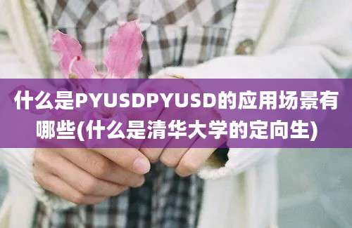 什么是PYUSDPYUSD的应用场景有哪些(什么是清华大学的定向生)