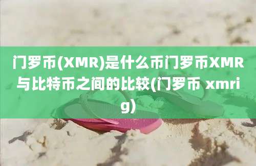 门罗币(XMR)是什么币门罗币XMR与比特币之间的比较(门罗币 xmrig)