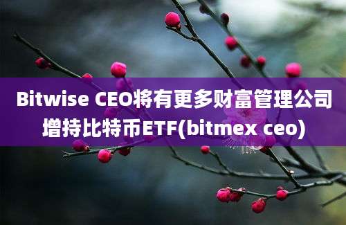 Bitwise CEO将有更多财富管理公司增持比特币ETF(bitmex ceo)