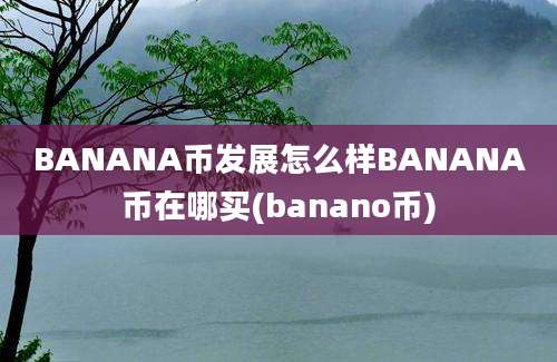 BANANA币发展怎么样BANANA币在哪买(banano币)