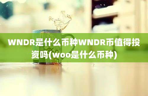 WNDR是什么币种WNDR币值得投资吗(woo是什么币种)