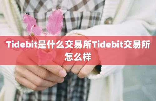 Tidebit是什么交易所Tidebit交易所怎么样