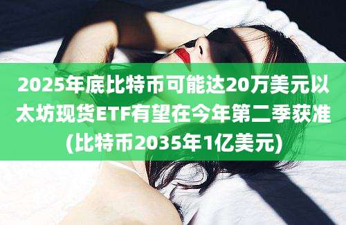 2025年底比特币可能达20万美元以太坊现货ETF有望在今年第二季获准(比特币2035年1亿美元)