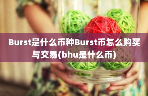 Burst是什么币种Burst币怎么购买与交易(bhu是什么币)