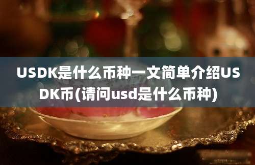 USDK是什么币种一文简单介绍USDK币(请问usd是什么币种)