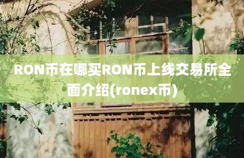 RON币在哪买RON币上线交易所全面介绍(ronex币)