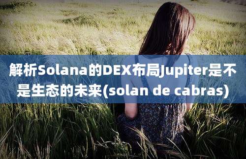 解析Solana的DEX布局Jupiter是不是生态的未来(solan de cabras)