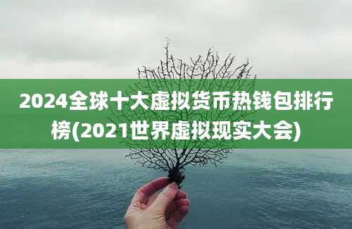 2024全球十大虚拟货币热钱包排行榜(2021世界虚拟现实大会)