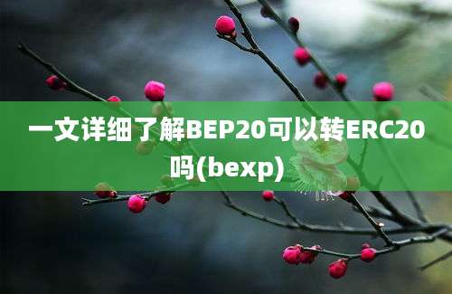 一文详细了解BEP20可以转ERC20吗(bexp)