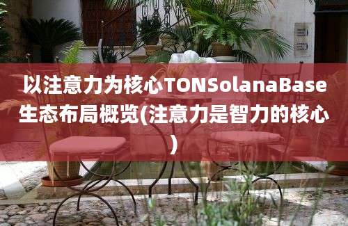 以注意力为核心TONSolanaBase生态布局概览(注意力是智力的核心)