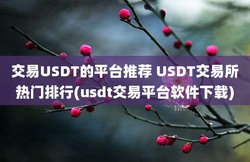 交易USDT的平台推荐 USDT交易所热门排行(usdt交易平台软件下载)