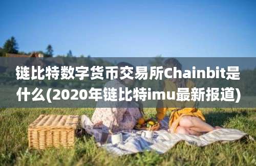 链比特数字货币交易所Chainbit是什么(2020年链比特imu最新报道)