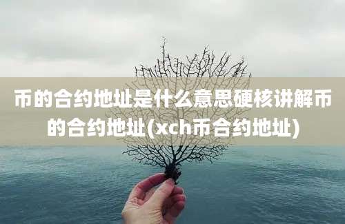 币的合约地址是什么意思硬核讲解币的合约地址(xch币合约地址)