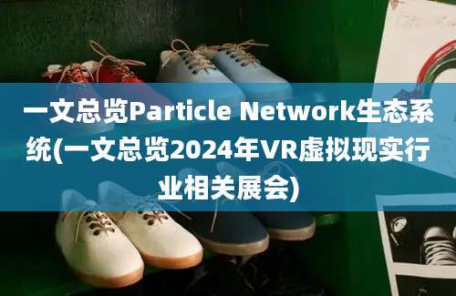 一文总览Particle Network生态系统(一文总览2024年VR虚拟现实行业相关展会)