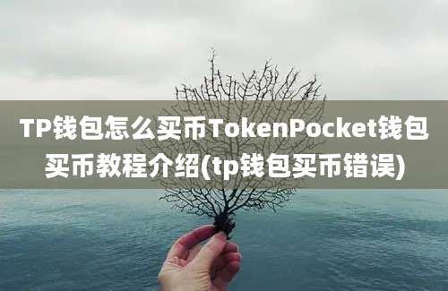 TP钱包怎么买币TokenPocket钱包买币教程介绍(tp钱包买币错误)