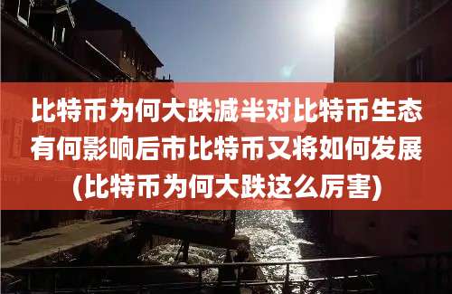 比特币为何大跌减半对比特币生态有何影响后市比特币又将如何发展(比特币为何大跌这么厉害)