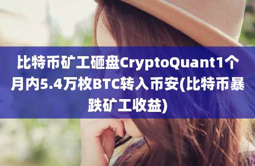 比特币矿工砸盘CryptoQuant1个月内5.4万枚BTC转入币安(比特币暴跌矿工收益)