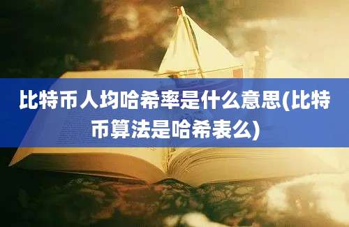 比特币人均哈希率是什么意思(比特币算法是哈希表么)