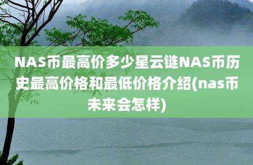 NAS币最高价多少星云链NAS币历史最高价格和最低价格介绍(nas币未来会怎样)