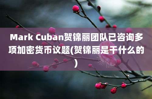 Mark Cuban贺锦丽团队已咨询多项加密货币议题(贺锦丽是干什么的)