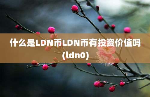 什么是LDN币LDN币有投资价值吗(ldn0)