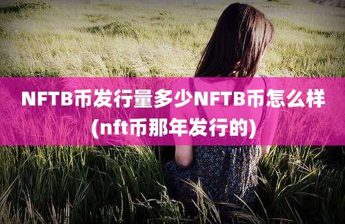 NFTB币发行量多少NFTB币怎么样(nft币那年发行的)