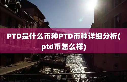 PTD是什么币种PTD币种详细分析(ptd币怎么样)