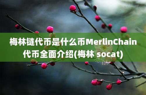 梅林链代币是什么币MerlinChain代币全面介绍(梅林 socat)