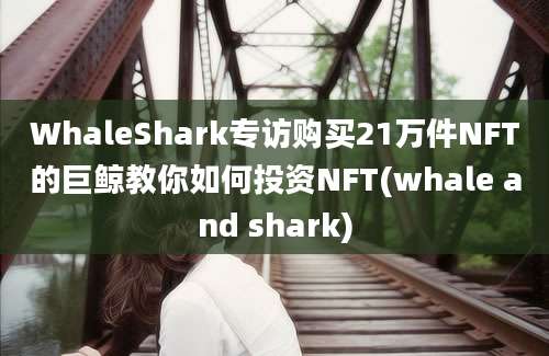 WhaleShark专访购买21万件NFT的巨鲸教你如何投资NFT(whale and shark)