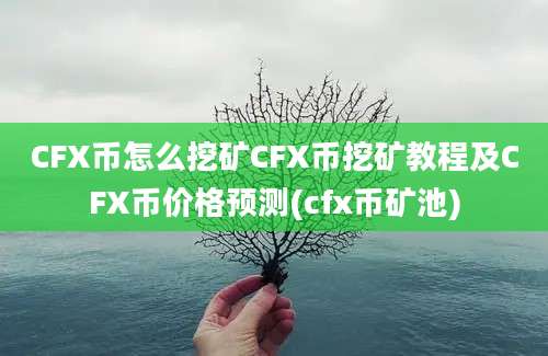 CFX币怎么挖矿CFX币挖矿教程及CFX币价格预测(cfx币矿池)