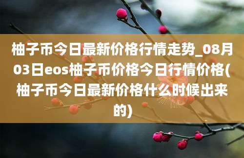 柚子币今日最新价格行情走势_08月03日eos柚子币价格今日行情价格(柚子币今日最新价格什么时候出来的)