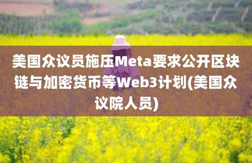 美国众议员施压Meta要求公开区块链与加密货币等Web3计划(美国众议院人员)