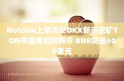 Notcoin上架币安OKX新币挖矿TON市值再超狗狗币 BNB突破600美元