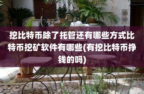 挖比特币除了托管还有哪些方式比特币挖矿软件有哪些(有挖比特币挣钱的吗)