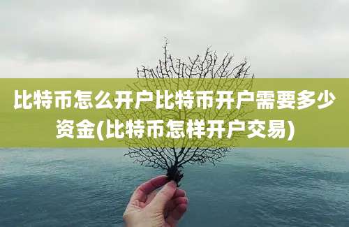 比特币怎么开户比特币开户需要多少资金(比特币怎样开户交易)